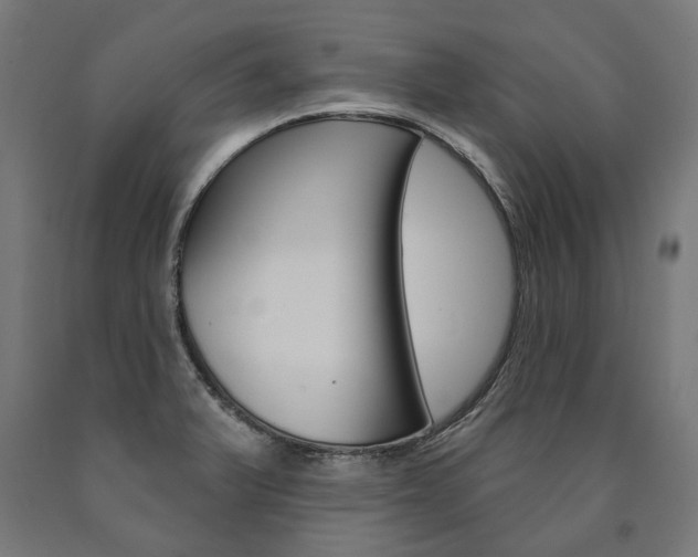 X0000091001375200708021216