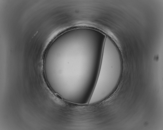 X0000091001376200708021216