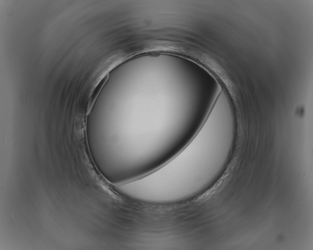 X0000091001377200708021216