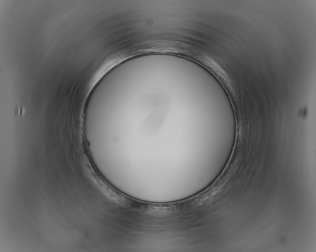X0000091001378200708021216