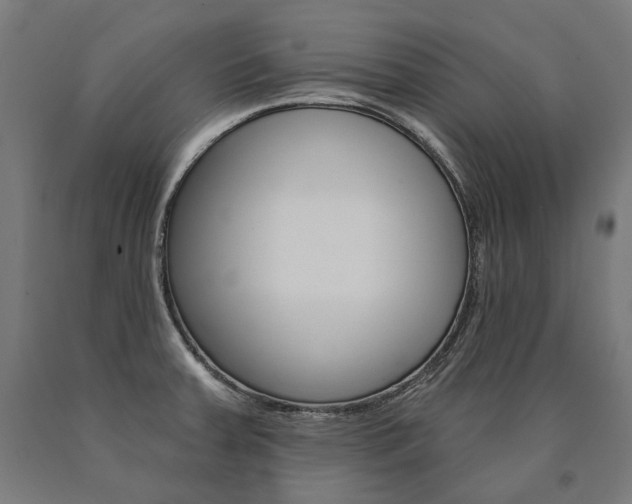 X0000091001379200708021216