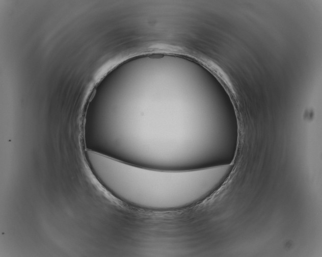 X0000091001381200708021216