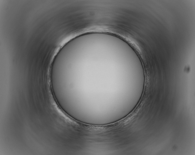 X0000091001382200708021216