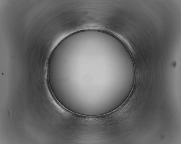 X0000091001383200708021216