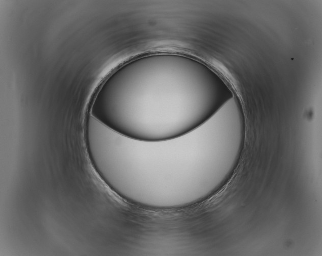 X0000091001384200708021216