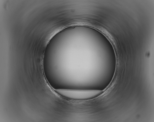 X0000091001385200708021216