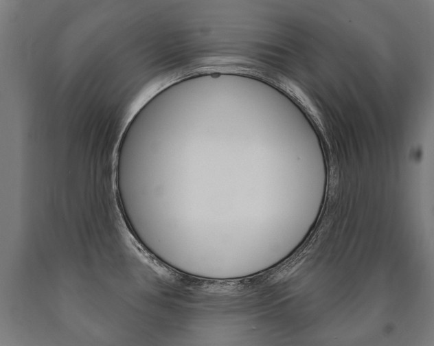 X0000091001386200708021216