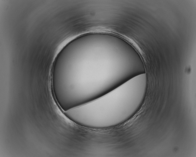 X0000091001387200708021216
