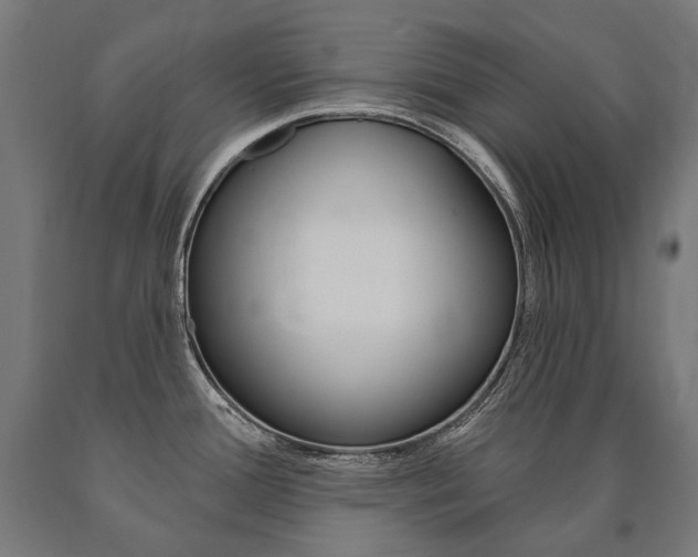X0000091001388200708021216