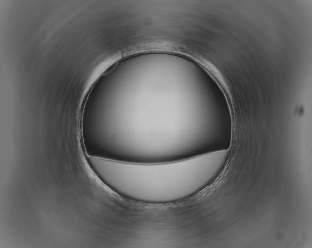 X0000091001389200708021216