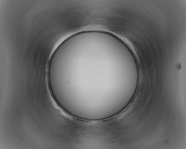 X0000091001390200708021216