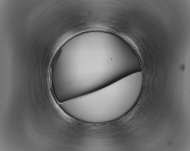 X0000091001391200708021216