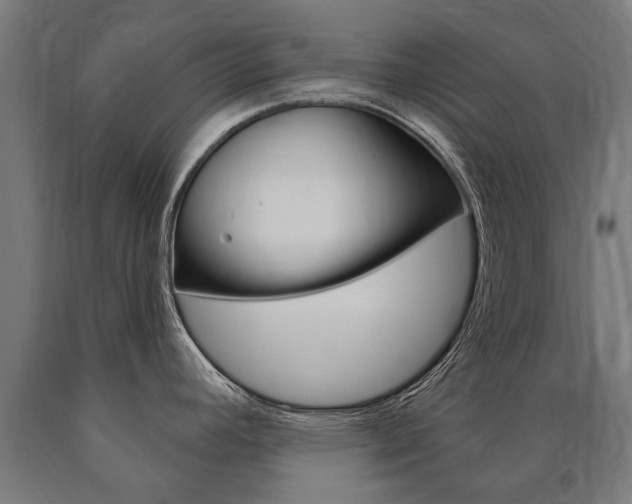 X0000091001392200708021216