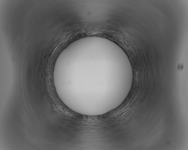 X0000091001393200708021215