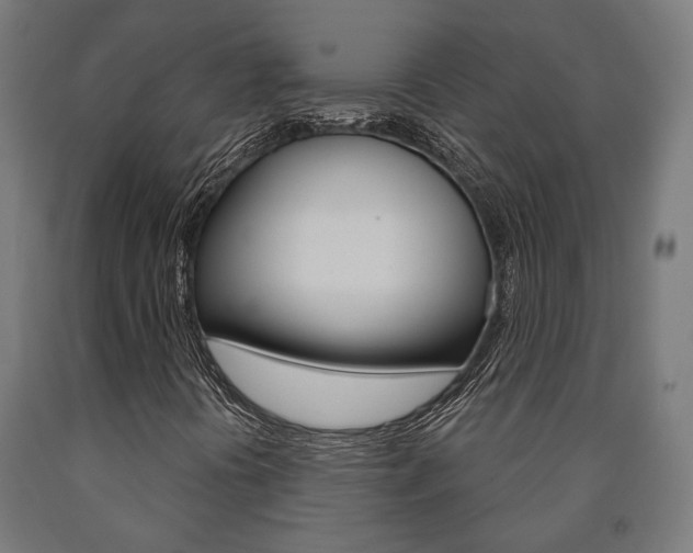X0000091001394200708021215