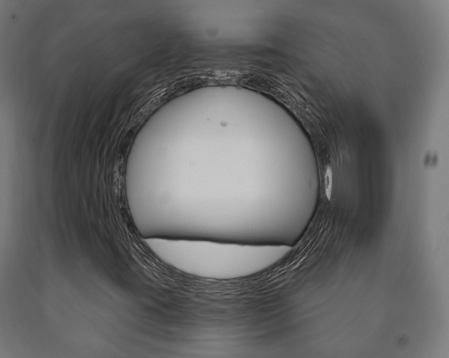 X0000091001395200708021215