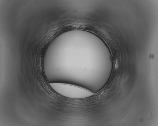 X0000091001396200708021215