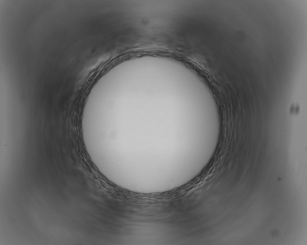 X0000091001398200708021215