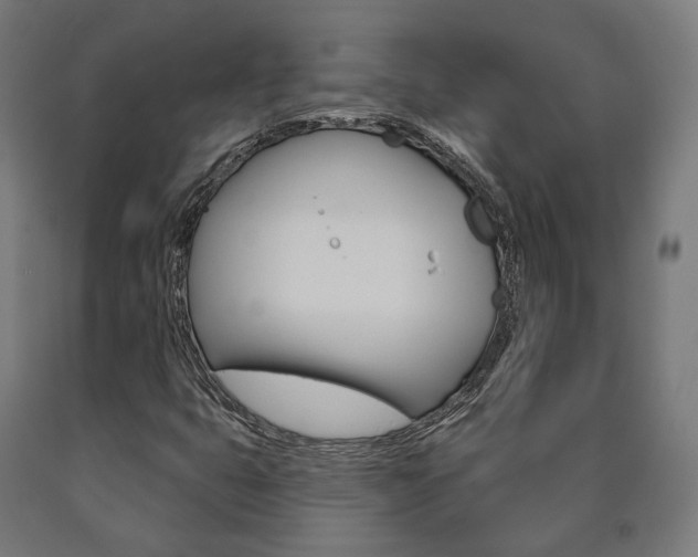 X0000091001399200708021215