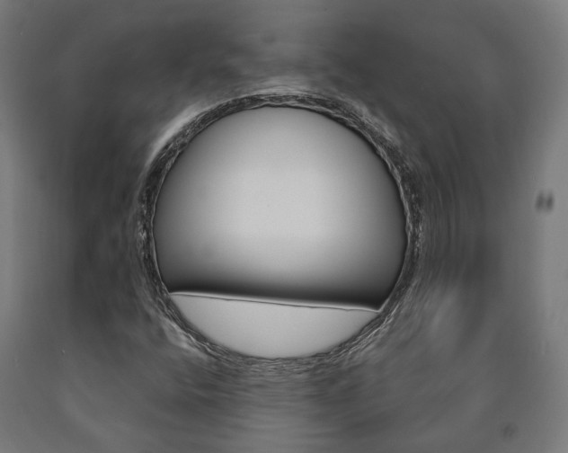 X0000091001400200708021215