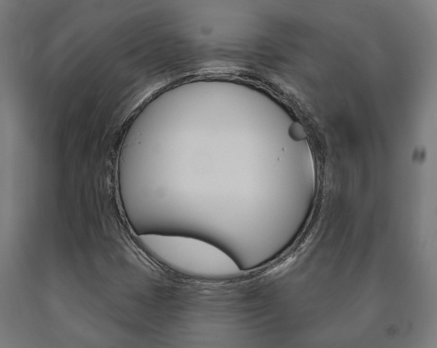 X0000091001401200708021215