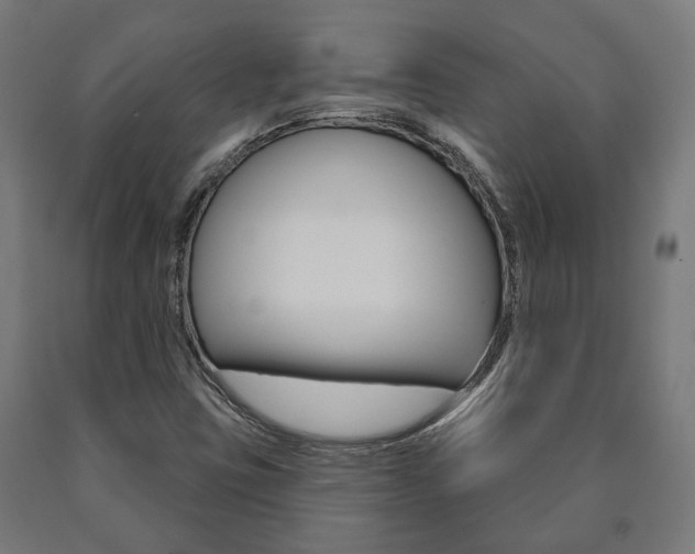 X0000091001403200708021215