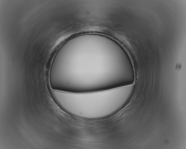 X0000091001404200708021215