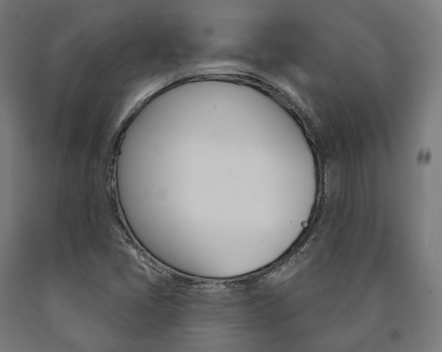X0000091001405200708021215