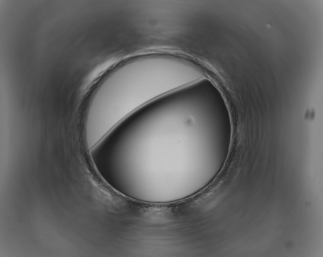 X0000091001406200708021215