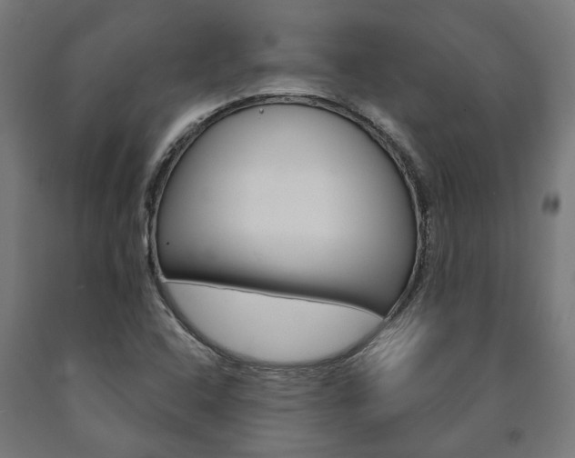 X0000091001408200708021215