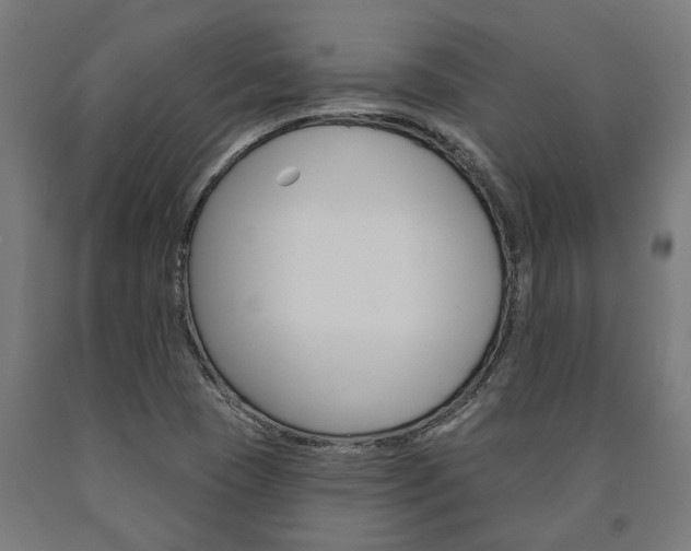 X0000091001409200708021215