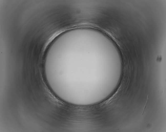 X0000091001410200708021215