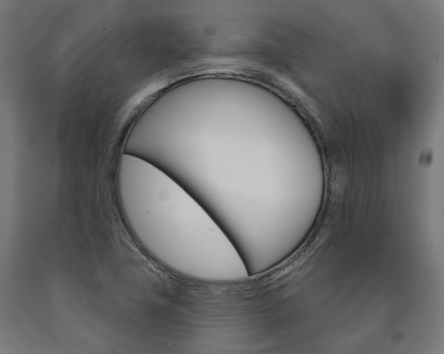 X0000091001411200708021215