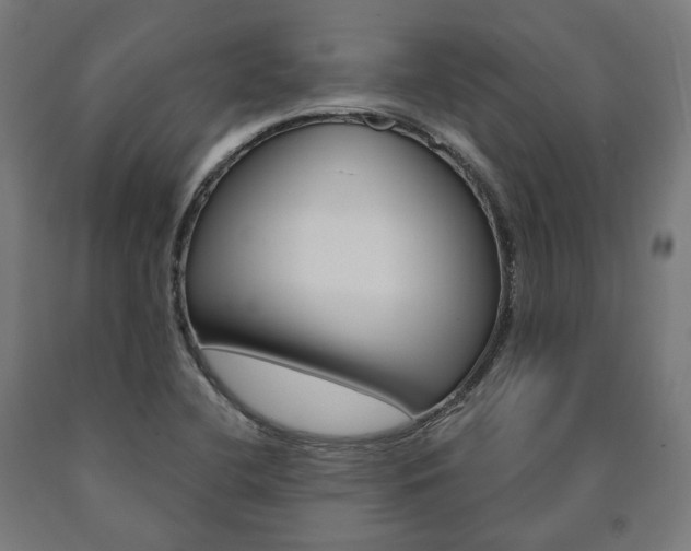 X0000091001412200708021215
