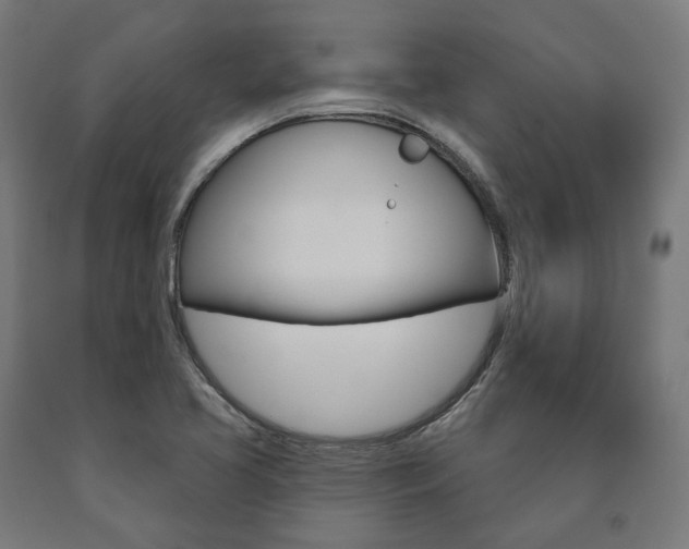 X0000091001413200708021215