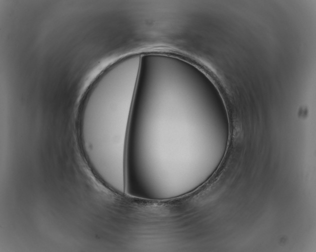 X0000091001414200708021215