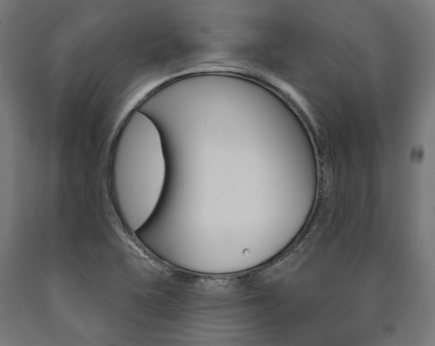 X0000091001415200708021215