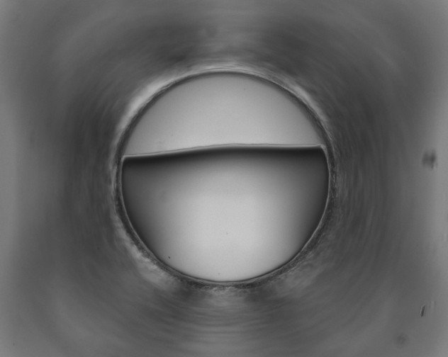 X0000091001416200708021215
