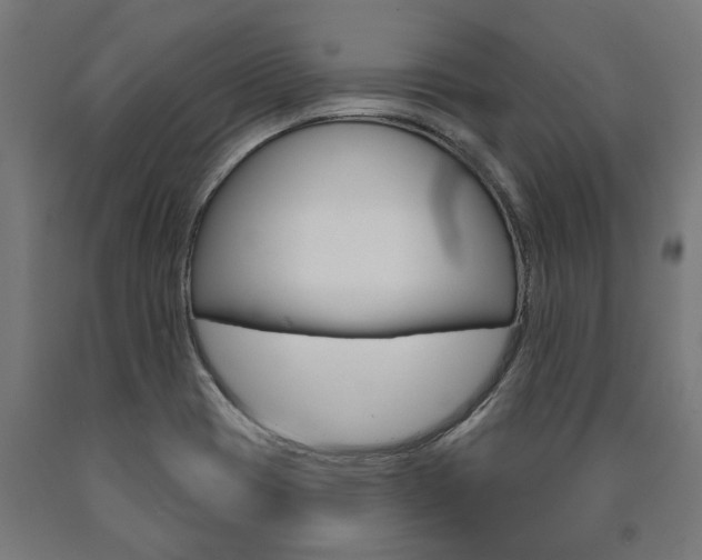 X0000091001417200708021215