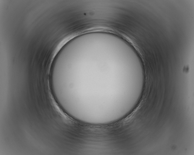 X0000091001418200708021215
