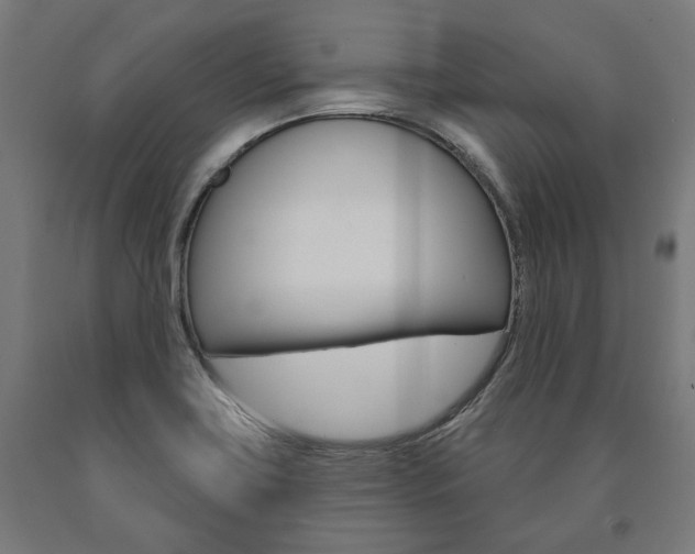 X0000091001419200708021215