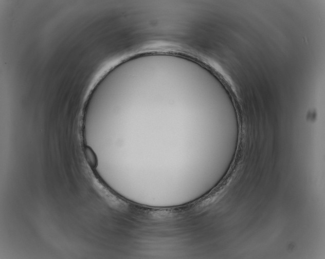 X0000091001421200708021215