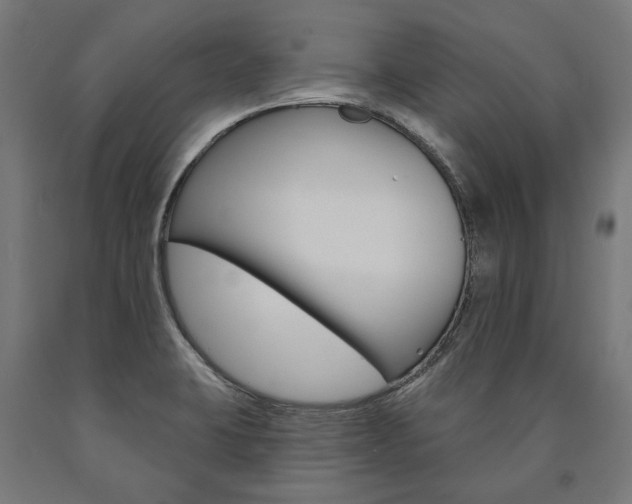 X0000091001423200708021215