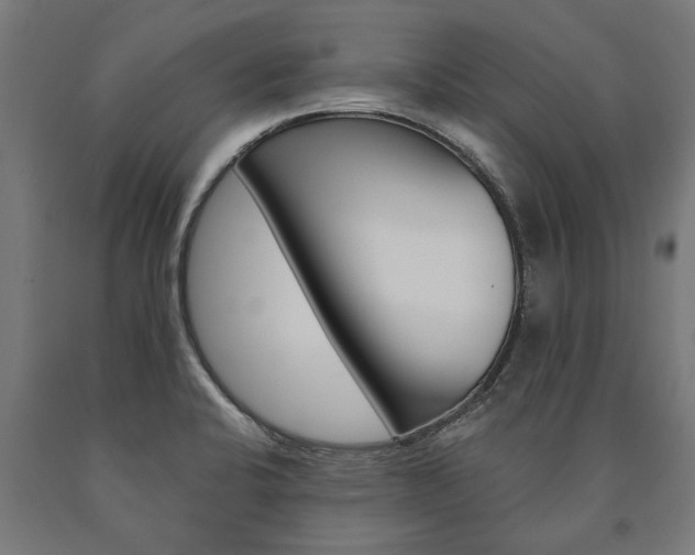 X0000091001424200708021215