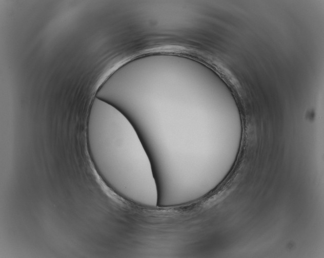 X0000091001425200708021215