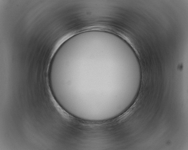 X0000091001426200708021215