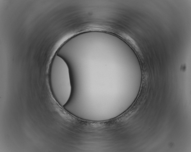 X0000091001427200708021215