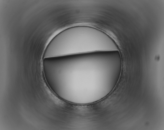 X0000091001428200708021215