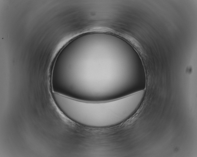 X0000091001430200708021215