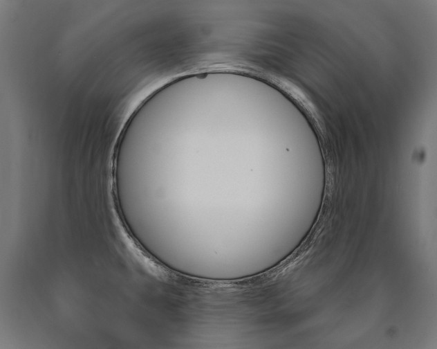 X0000091001431200708021215